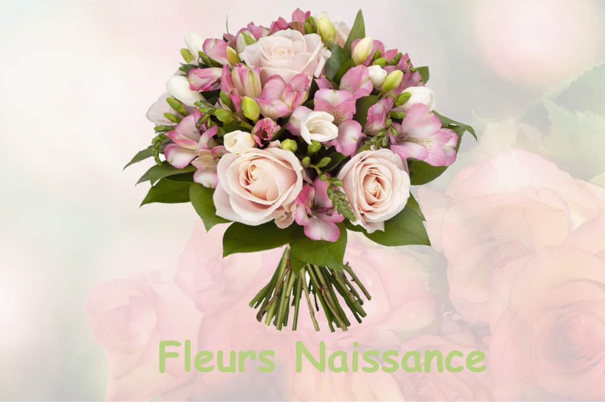 fleurs naissance BIAUDOS