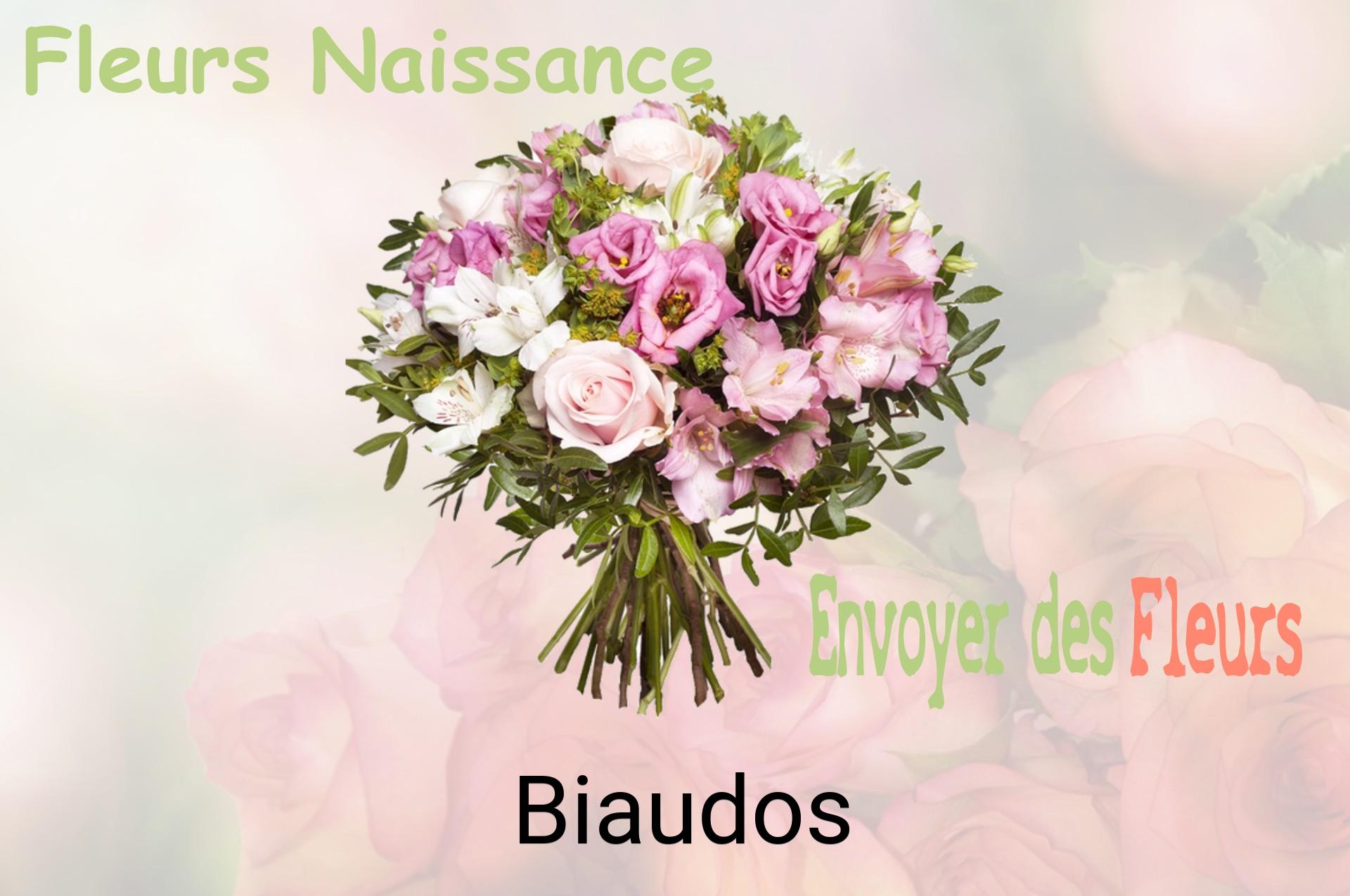 Bouquet de fleurs de naissance livré à Biaudos