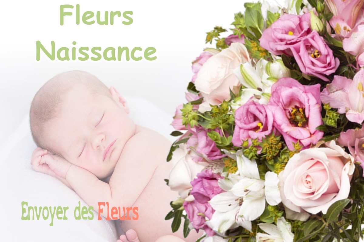 lIVRAISON FLEURS NAISSANCE à BIAUDOS